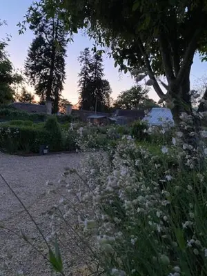 a field of white flowers next to a tree at the railway carraige in Three Cocks Junction