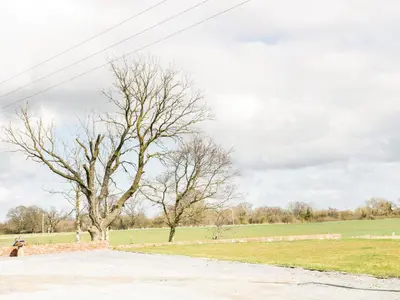 a park with two trees and a bench in a field at Millstone Cottages - Middle Cottage in Shrewsbury