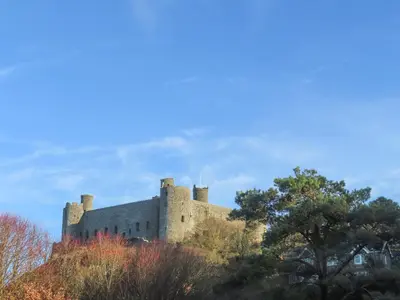 a castle on top of a hill with trees at Gwelfor in Harlech