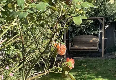 a wooden bench sitting in a yard with flowers at Little Hotspur in Shrewsbury