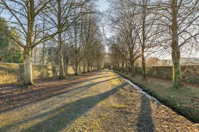 a road with trees on the side of it at 2 Bed in Llangedwyn oc-l30530 in Llangedwyn