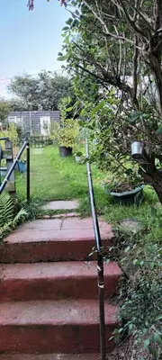 a small tree on the side of a set of stairs at Robins nest in Great Hanwood