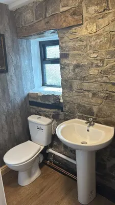 a bathroom with a toilet and a sink at The Eagles Inn in Rhayader