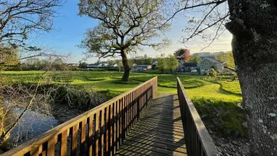 a wooden bridge over a river with a tree at 1 Bed in Drefach oc-m30848 in Llanwenog