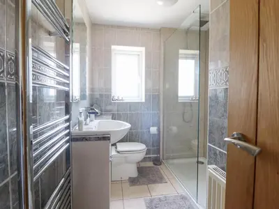 a bathroom with a toilet and a sink and a shower at Ysgubor Newydd Parc Isaf in Dyffryn
