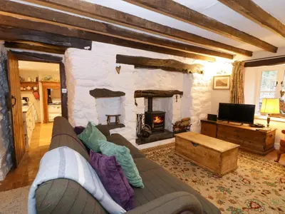 a living room with a couch and a fireplace at Glandwr Cottage in Llanbedr