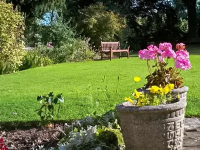 a garden with a pot of flowers and a bench at The Cottage in Weobley