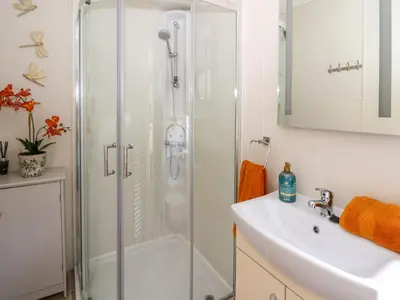 a bathroom with a shower and a sink at 98 The Heron in New Quay