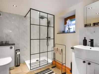 a bathroom with a shower and a sink at Aberserw Cottage in Trawsfynydd