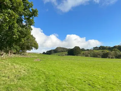 a green field with a fence and a tree at Tower Farm Holidays in Llangollen
