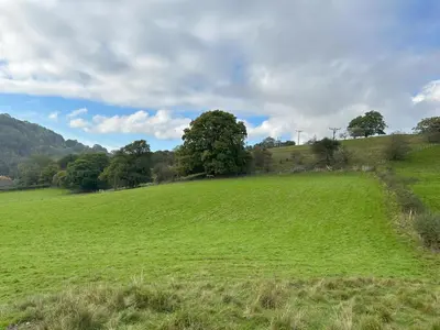 a large green field with a tree in the middle at Tower Farm Holidays in Llangollen