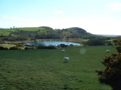 a group of sheep grazing in a field next to a lake at Below the castle at Snowdonia in Harlech