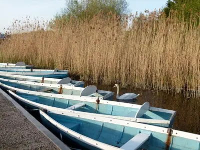 a group of blue boats sitting in the water at 2 Bed in Llangorse oc-t30290 in Llangorse