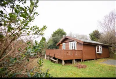 a small wooden house in a field of grass at 345 Ida's Cabin in Trawsfynydd