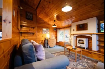a living room with a couch and a fireplace at 345 Ida's Cabin in Trawsfynydd