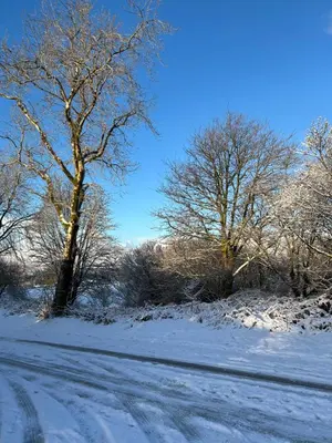 a snow covered road with trees on the side of it at 345 Ida's Cabin in Trawsfynydd