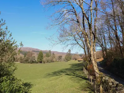 a tree in the middle of a field at Clywedog Cottage in Dolgellau