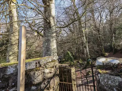 a gate in a stone wall next to a tree at Clywedog Cottage in Dolgellau