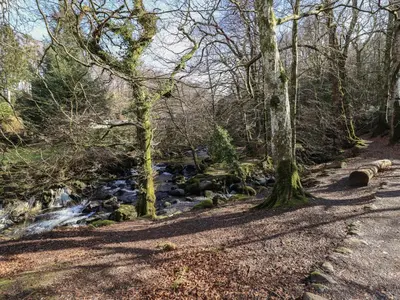 a path through the woods next to a stream at Clywedog Cottage in Dolgellau
