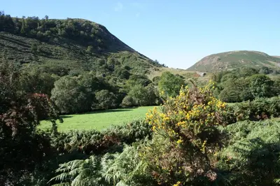 a green field in the middle of a mountain at Elan Valley Lodge in Llanwrthwl