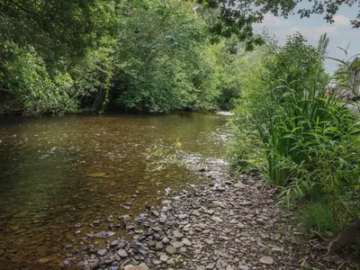 a river with rocks and trees and bushes at Peony in Leominster