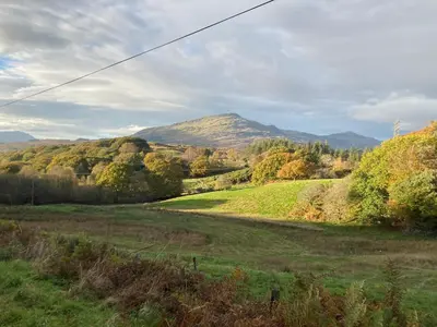 a view of a field with a mountain in the background at Shepherds hut on alpaca farm in Blaenau-Ffestiniog