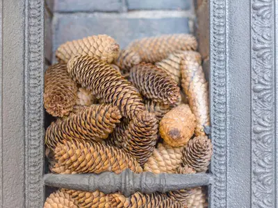 a box filled withocurrenciesbestosbestosbestosbestosbestosbestosbestosbestosbestosbestos at Robin's Nest in Craven Arms
