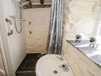 a bathroom with a sink and a shower at Old Ty'n Y Wern in Bala