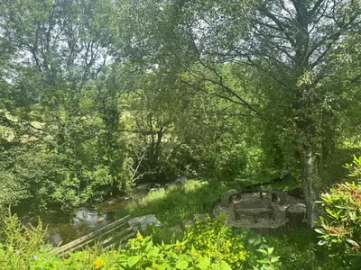 an old bridge over a stream in a forest at 4 Bed in Llanidloes oc-95968 in Van