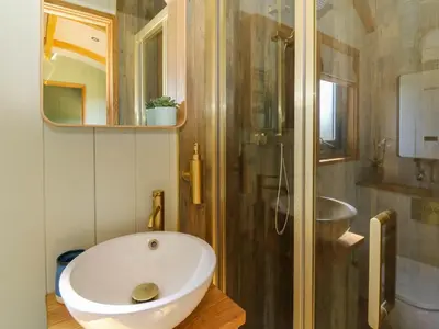 a bathroom with a white sink and a shower at Fir Tree Shepherd's Hut in Llanon