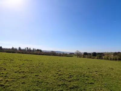 a large green field with trees in the distance at Cwtch in Ystrad Meurig