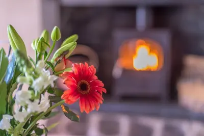 a vase with a red flower in front of aificialificialificialificialificial at Ty-Mawr in Llanuwchllyn