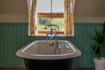 a bathroom sink with a faucet and a plant at Ty-Mawr in Llanuwchllyn