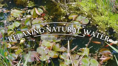 a sign that reads reclaim natural water and aquatic life at Hot Tub Luxury Glamping - Private Stargazing Patio in Yarpole