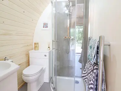 a bathroom with a toilet and a shower at Eirlys in Dolgellau