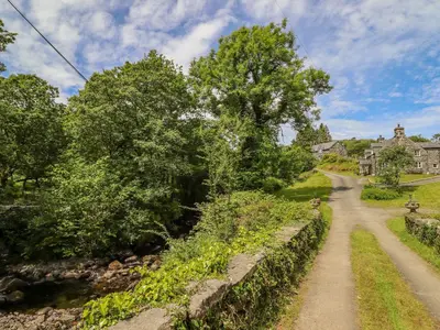 a dirt road in a yard with a tree at Dwynant in Dolgellau