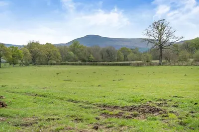 a field of green grass with a mountain in the background at 6 Bed in Llanwern oc-w31947 in Brecon