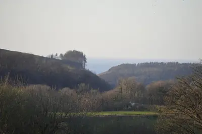 a view of a field with trees and a mountain at Dog friendly rural location in Llanerch-Aeron
