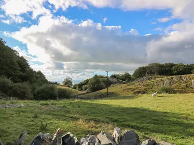 a field with a sheep grazing on a hill at Tyn Y Graig in Arthog
