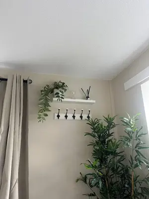 a room with a shelf with five birds on the wall at Hucklemarsh House in Ludlow