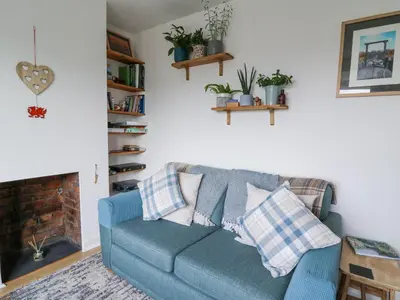 a blue couch in a living room with plants at Brycheiniog View in Brecon