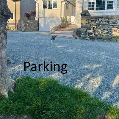 a cat walking down a road in front of a house at Gwyneska in Llanaber
