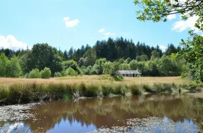 a house in a field next to a river at Cae'n Y Coed Barn in Talsarnau