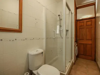 a bathroom with a toilet and a shower at Cae'n Y Coed Barn in Talsarnau