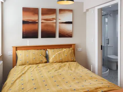 a bedroom with a bed with two paintings on the wall at Cae Cwta in Llanddwywe