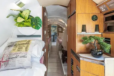 a small room with a bed and plants in it at Alaya Airways in Dolgellau