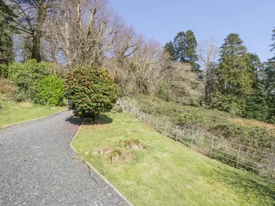 a bush sitting on the side of a road at Bwthyn y Coediwr The Woodcutters Cottage in Blaenau-Ffestiniog