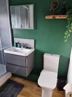 a bathroom with a white toilet and a sink at No 3 Waterloo Place in Welshpool