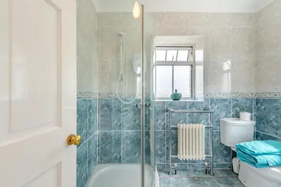a bathroom with a shower and a toilet and a sink at 1 Bed in Brynteg oc-g32079 in Llanwenog