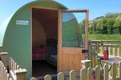 a green dome tent with a bed in it at Green Dragon and Kitchen Pod - Sleeps 2 & Parking in Welshpool